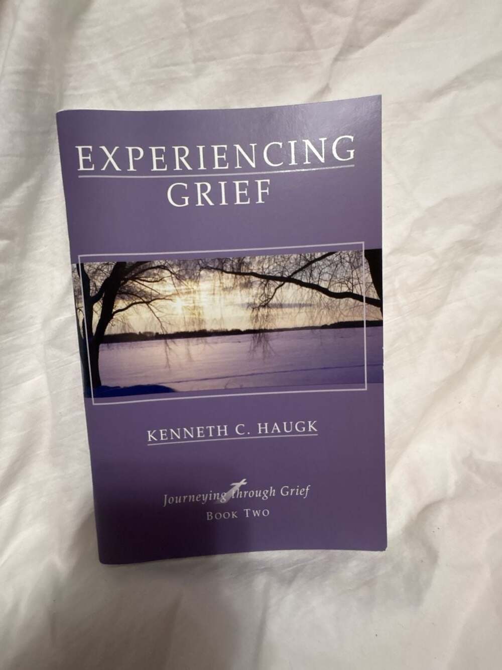 Experiencing Grief: Journeying Through Grief Book Two by Kenneth C. Haugk